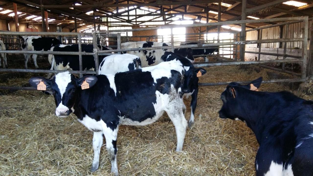 Charmante maison à la ferme Valderies Extérieur photo